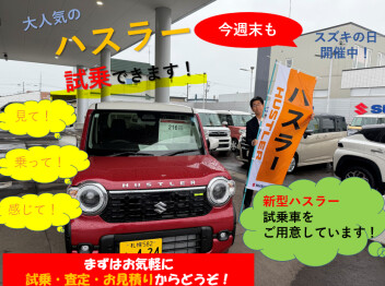 今週末もスズキの日開催します！
